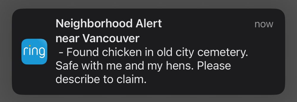 Screenshot of a smartphone Ring Neighborhood Alert notification. It reads: “Neighborhood Alert near Vancouver – Found chicken in old city cemetery. Safe with me and my hens. Please describe to claim.”