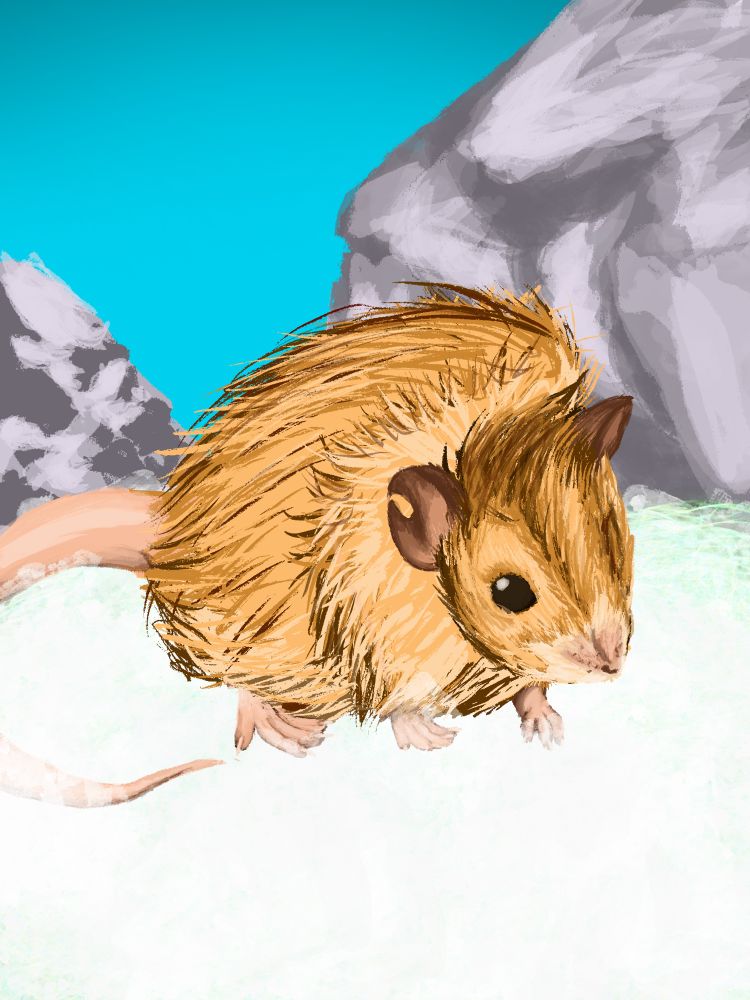 A drawing of a mammoth mouse in some snow in front of some rocks and blue sky