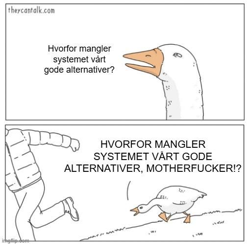 Meme i to-panels tegneserieformat.

Øverst et nærbilde av hodet til en gås som sier "Hvorfor mangler systemet vårt gode alternativer?"

Nederst ser vi at gåsen springer langs en sti etter en person som holder på å springe ut av bilderammen til venstre, mens gåsen roper (i store bokstaver): "Hvorfor mangler systemet vårt gode alternativer, motherfucker!?"