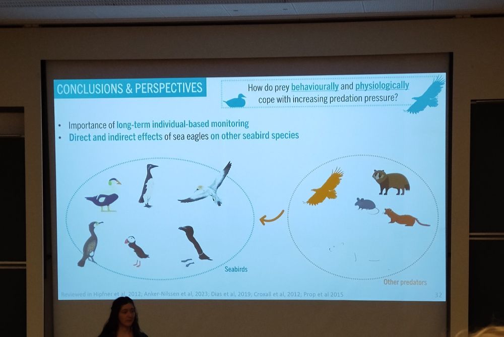 Seabirds and their predators