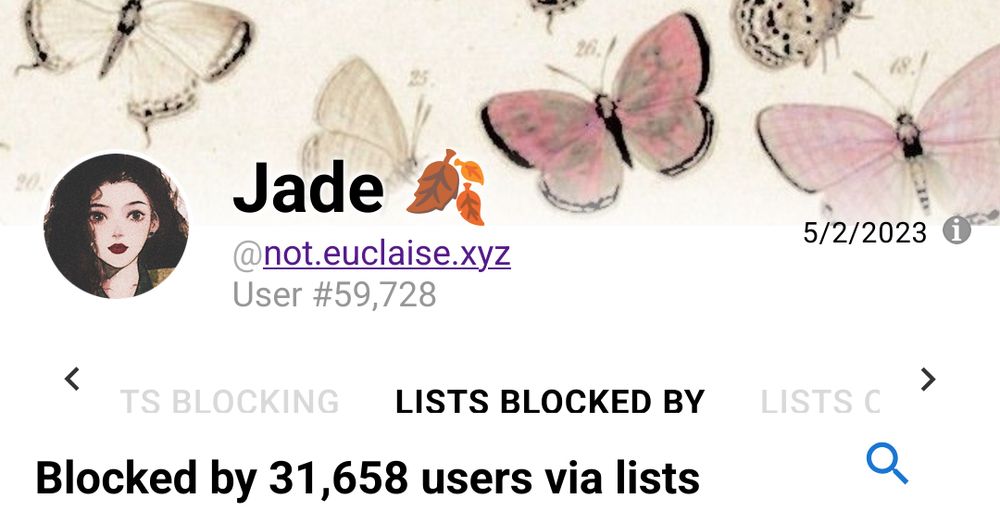 not.euclaise.xyz on clearsky.app: Blocked by 31,658 users via lists
