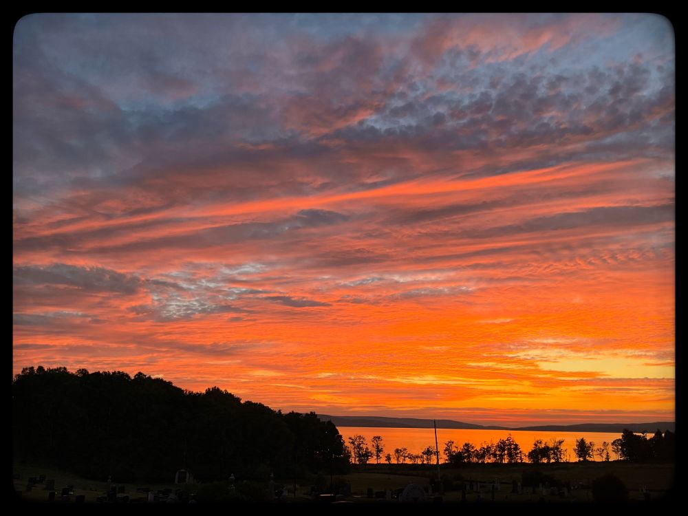 A sky streaked with a deep burnt orange and hints of creamy yellow. Below are the silhouettes of trees.