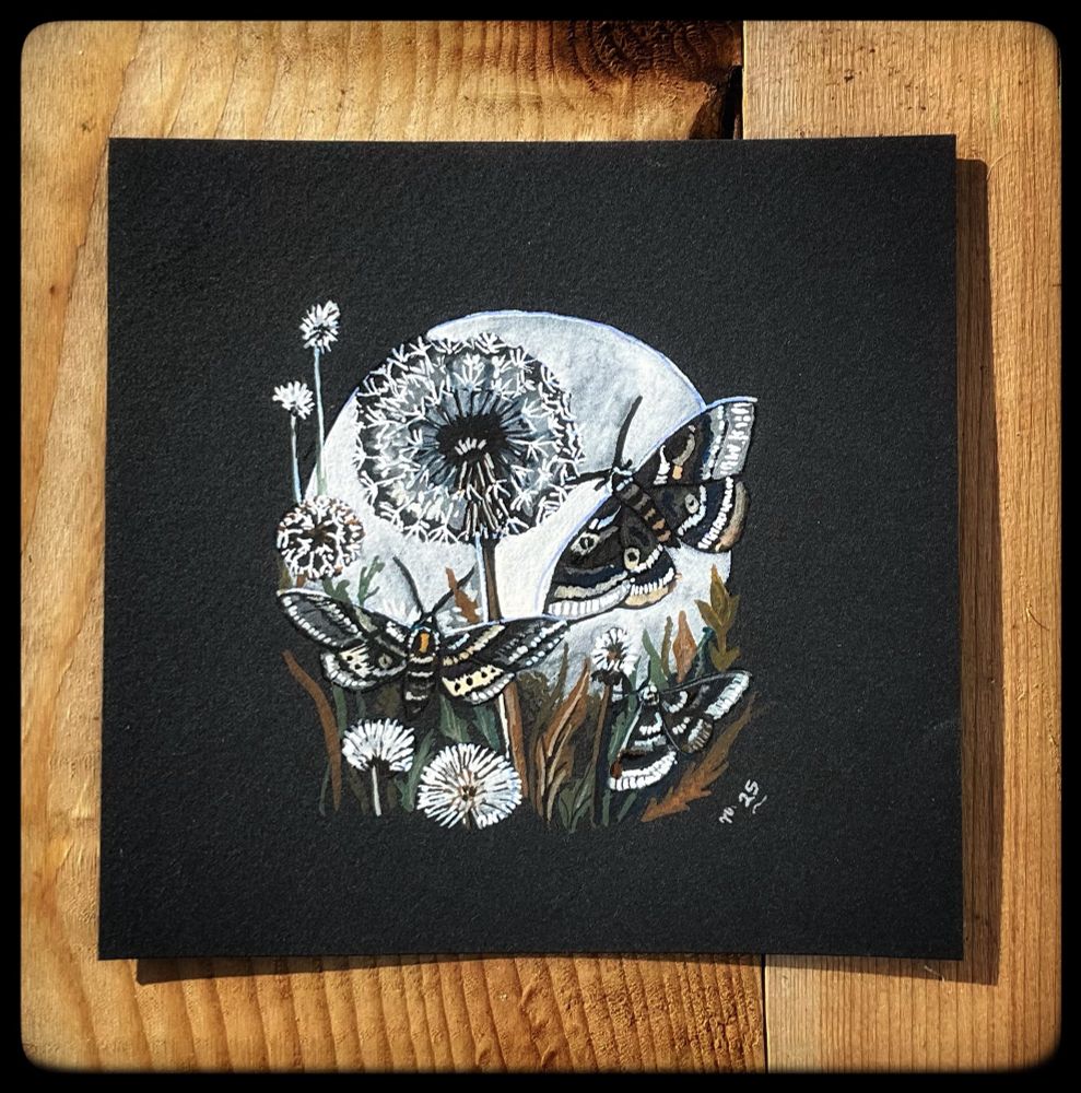 A piece of black paper lies on wood. On the paper is a painting of three moths flying near dandelion clocks under a full moon.