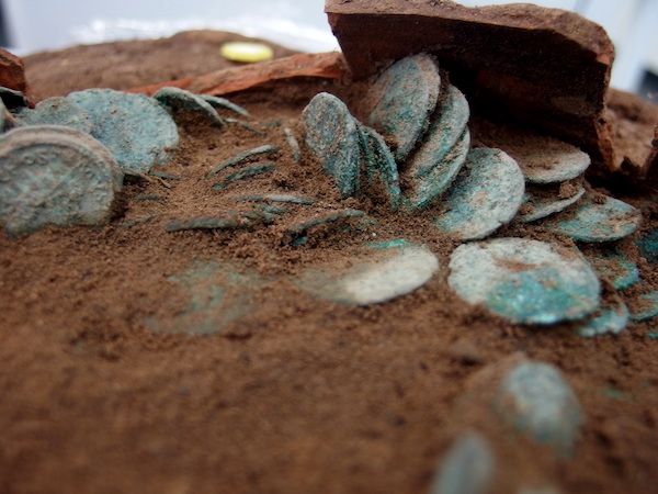 Photograph of a hoard of coins still embedded in dirt. They are coppery bronze in colour and part of a terracotta pot pokes out from the mound of earth they are stuck in.