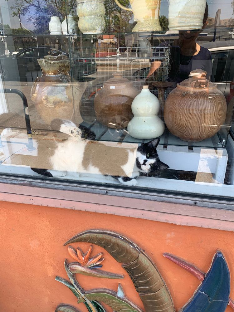 A black and white car is pressed against a store window filled with ceramic pots. 