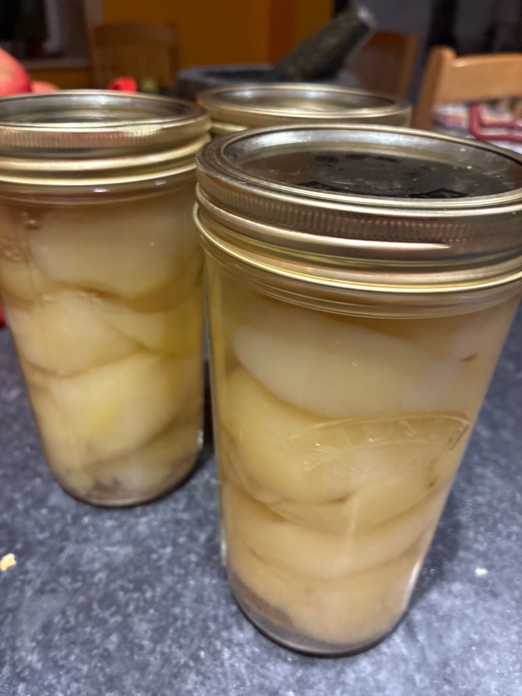 500ml jars of pears 