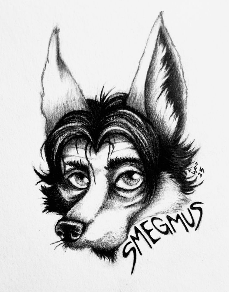 A black and white traditional drawing of Smegmus’ head, a disheveled canine creature, looking at the viewer 