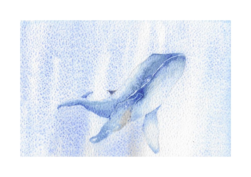 The image features a watercolor illustration of a whale swimming in shades of blue against a textured, light blue background which is created using the Indian wash method in two two washes. 