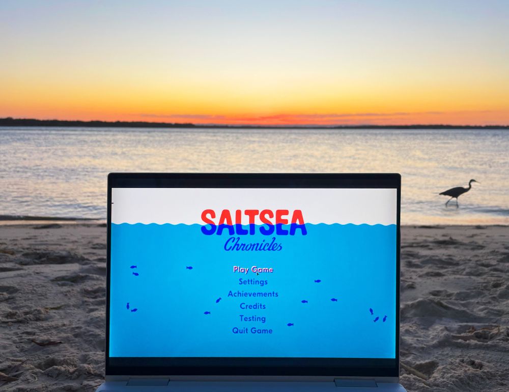 Saltsea Chronicles on the beach by sunset