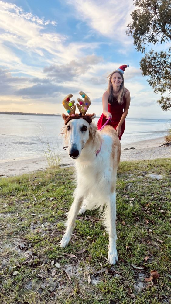 Good borzoi girl with a cute reindeer antlers and her mom in the background 