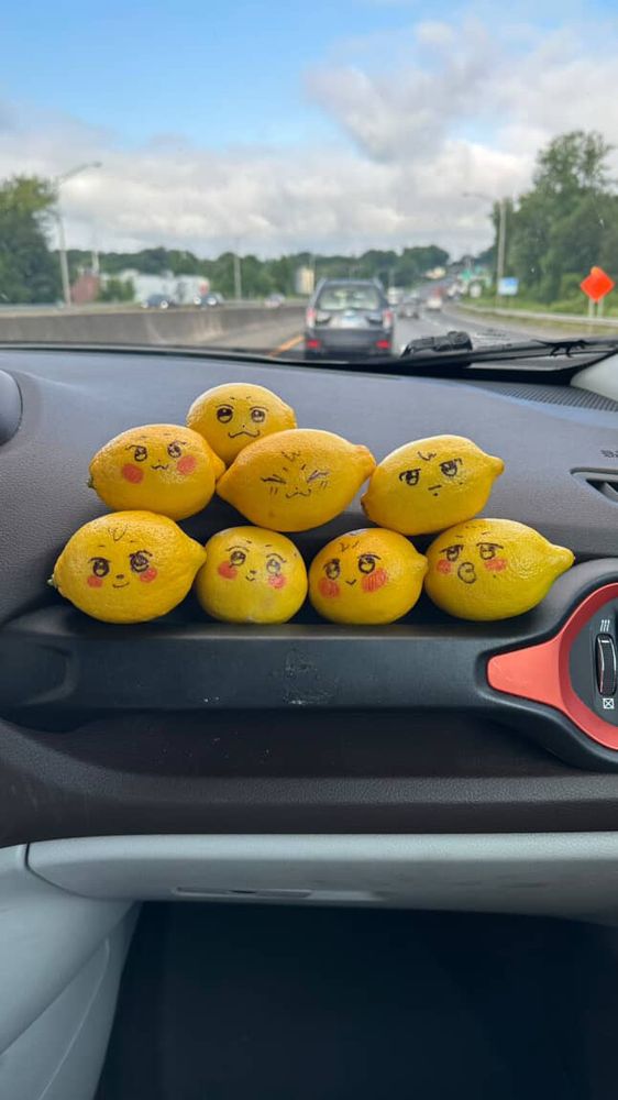 8 lemons on a car dashboard but they’re aniteez