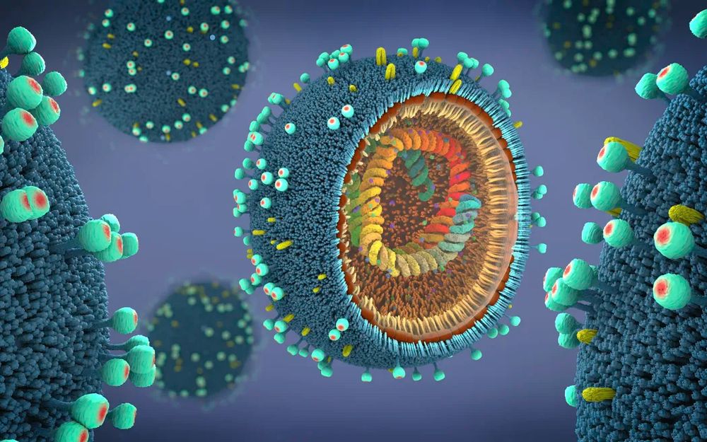 scientific illustration of a virus