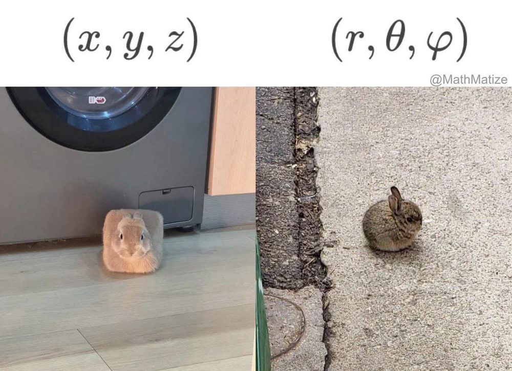 A rabbit sitting next to a washing machine, its haunches looking distinctly like a cube, labeled (x,y,z)

A smol bunny sitting on a sidewalk looking like a perfectly round ball of fur apart from its ears, labeled (ρ,θ,φ)