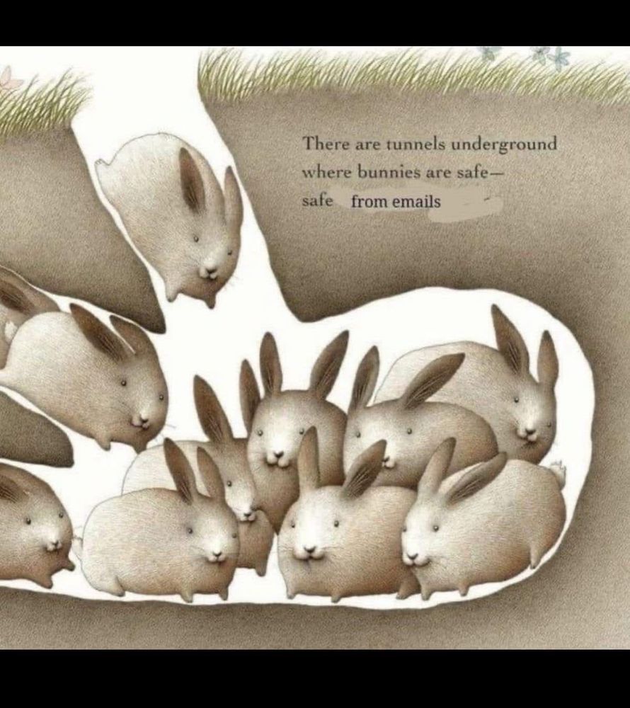 A children’s book drawing showing about a dozen rabbits sharing a burrow. A caption reads “There are tunnels underground where bunnies are safe—safe from emails.”