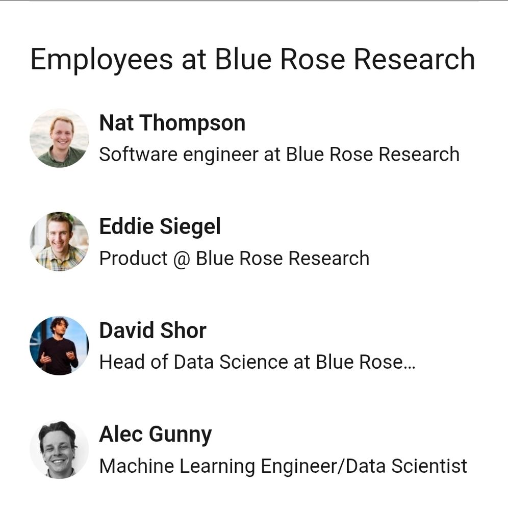 Screenshot of the LinkedIn page of Blue Rose Research, employees (the top 4 listed on the page)