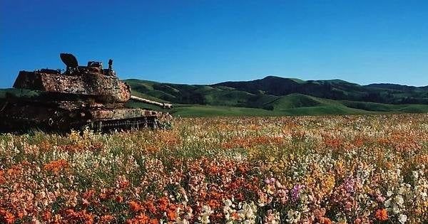 A tank, possibly from the Yugoslav wars, sitting rusted in a field of flowers, the implication being the weight of time to erode away this relic of pain, and turn the former mud into vibrant life
