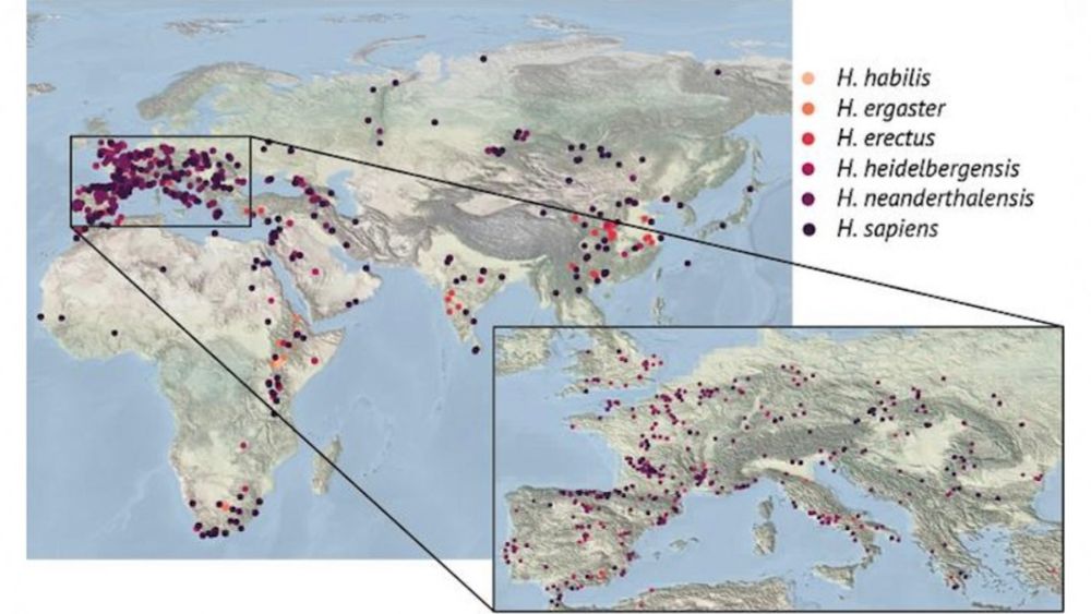 Early Human Species Benefited From Food Diversity In Steep Mountainous Terrain