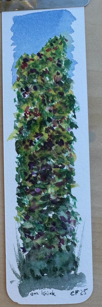 Lesezeichen Aquarell
Bunte Tupfen von grün, violett deuten eine hohe Brombeerhecke an. Titel „am Knick“