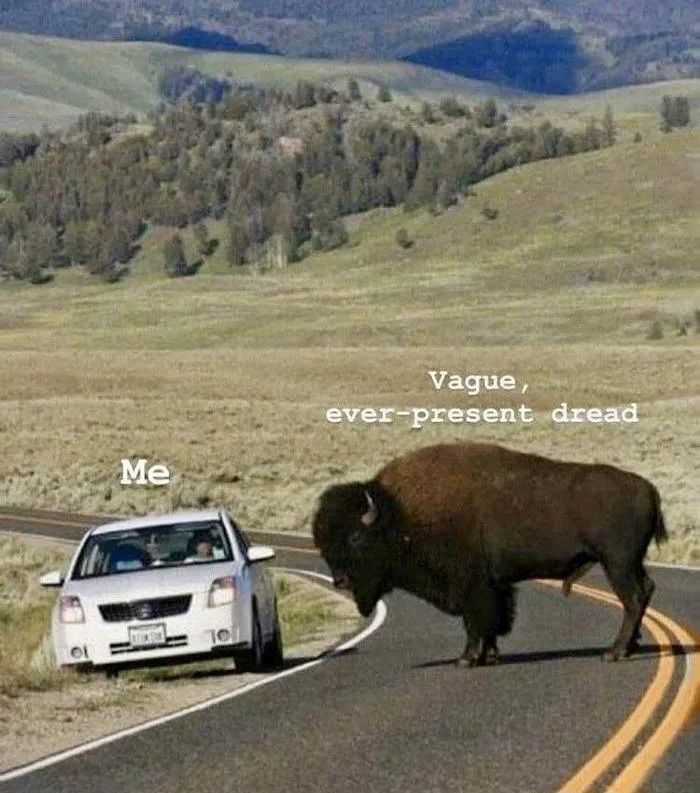 A meme of a car and a huge bull (or some large animal?) Staring at the car with the caption over the car being "Me" and over the animal it's "Vague, ever-present dread"