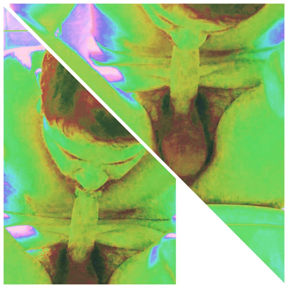 glitched dyptic of someone auto-fellating a bushy penis