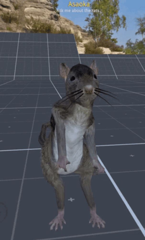 a computer generated image of a rat with the name asaoka on the bottom