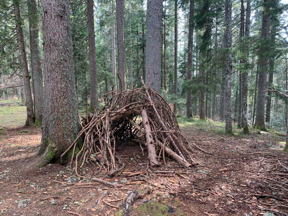 Une cabane faite de branche dans une forêt au pied d’un sapin.