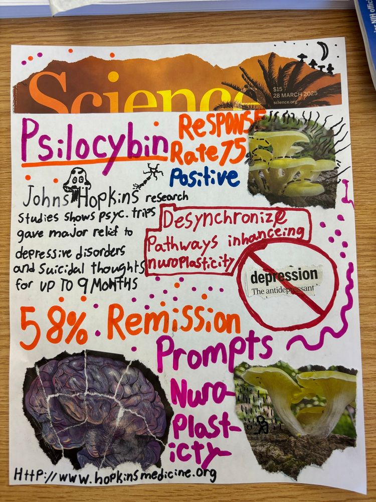 A colorful handmade flier made of markers and mags one cut-ours about the potential role of psilocybin in treating depression, focusing on research at Johns Hopkins that shows treatments provide relief for up to nine months. 