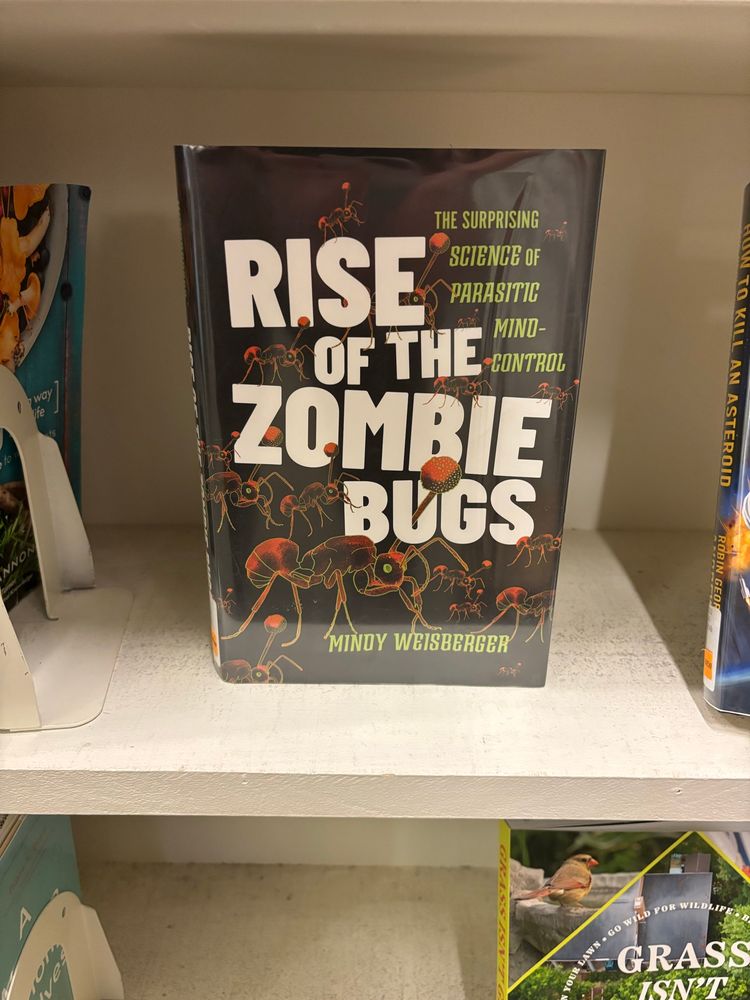 A library book on a display shelf: Rise of the Zombie Bugs by Mindy Weisberger