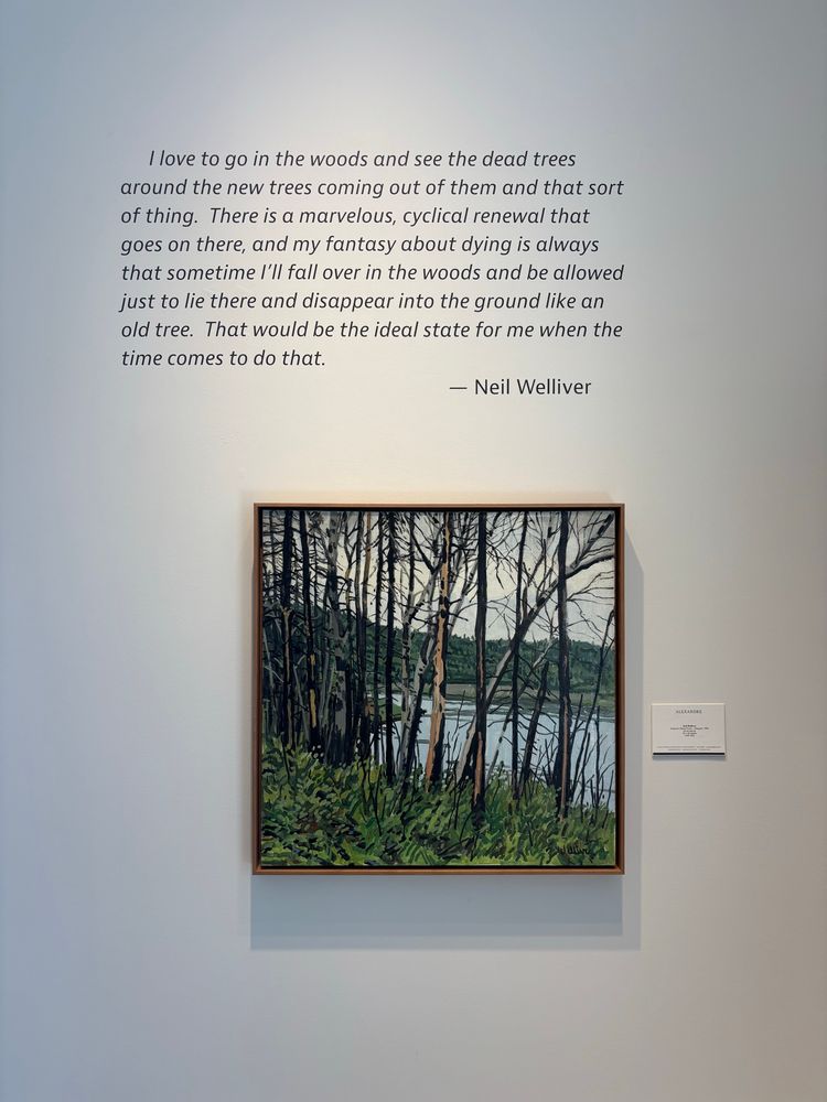 A square framed painting on a white wall. The painting depicts a view of a silvery blue pond through leafless trees and lush green ferns, as in early spring. The sky is a whitish grey-blue, as after sunset. 

Above the painting, on the wall, is printed: “ I love to go in the woods and see the dead trees around the new trees coming out of them and that sort of thing. There is a marvelous, cyclical renewal that goes on there and my fantasy about dying is always that sometime I’ll fall over in the woods and be allowed to just lie there and disappear into the ground like an old tree. That would be the ideal situation for me.— Neil Welliver