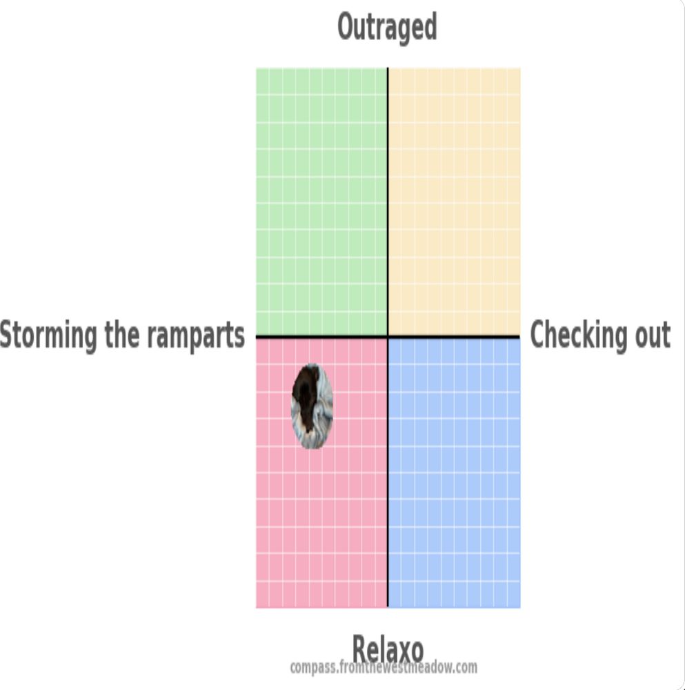 A political compass meme y axis top outraged. Y axis bottom relaxo. X axis left storming the ramparts, x axis right checking out. I sit around x-5, y-3. I’m comfortable storming the ramparts. Hahahaha accuracy on point according to my last 300 posts. 