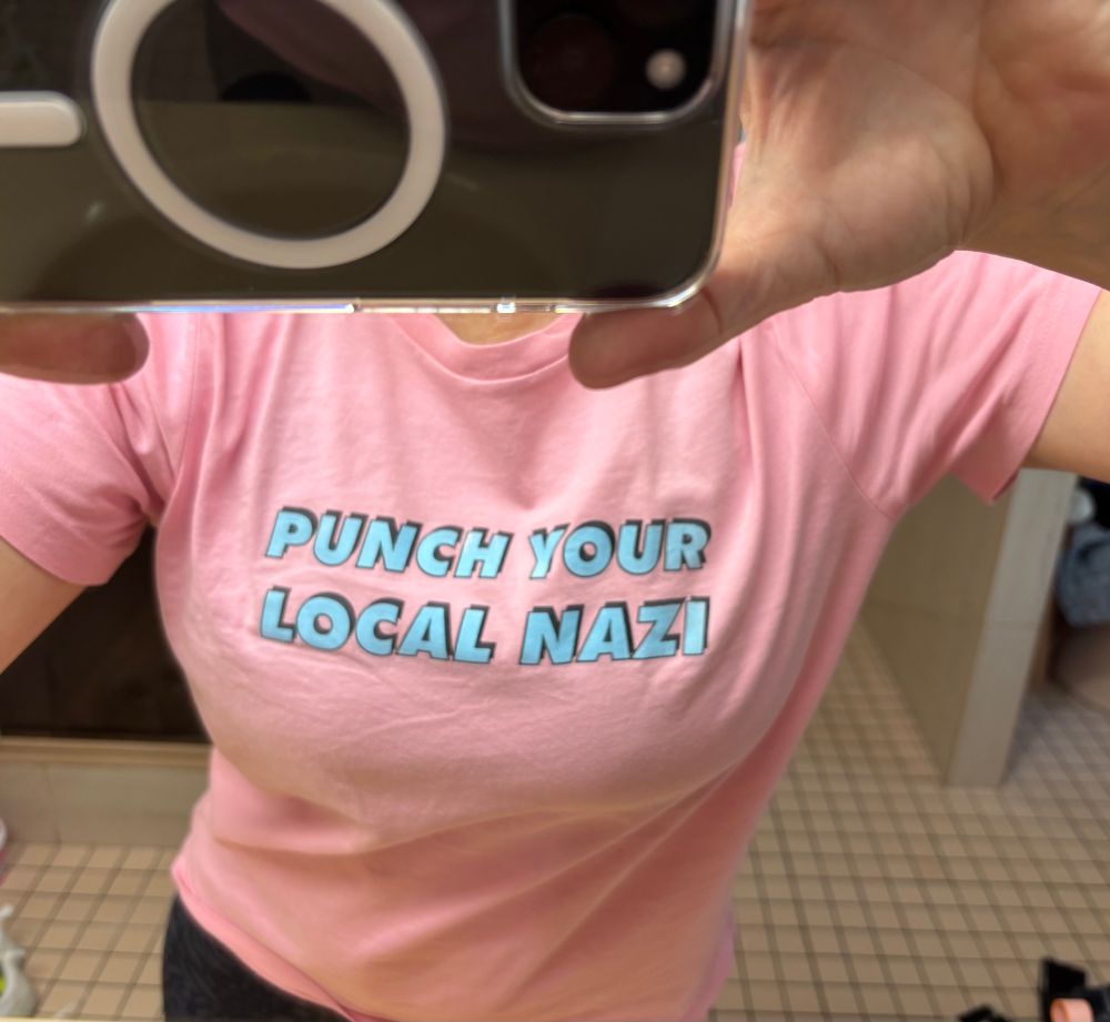 A woman (me) takes a mirror selfie. She’s wearing a pink t shirt with “Punch Your Local Nazi” written in large blue capital letters. 