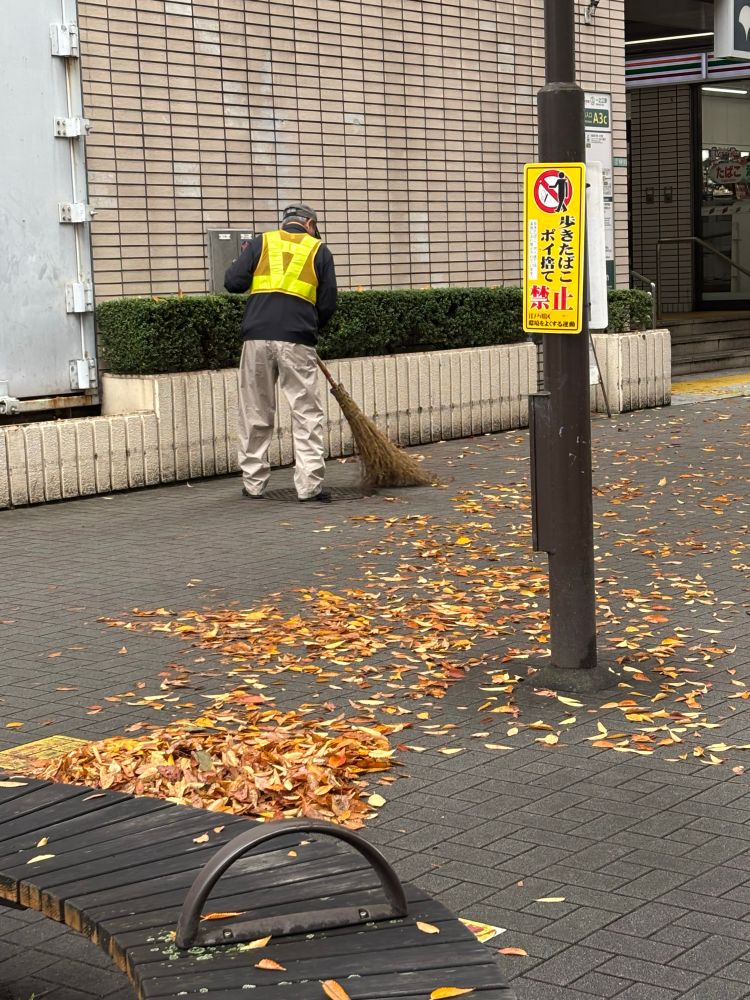 A worker sweeps a pile of autumn leaves in suburban Japan using a traditional whisk style broom. 