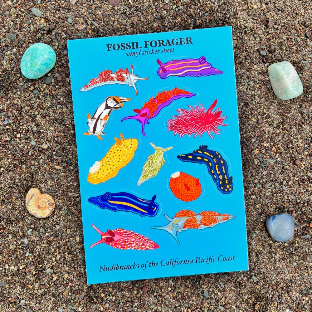 A photo of a vibrant sticker sheet decorated with colorful nudibranch illustrations. It is laid on a sandy background. 