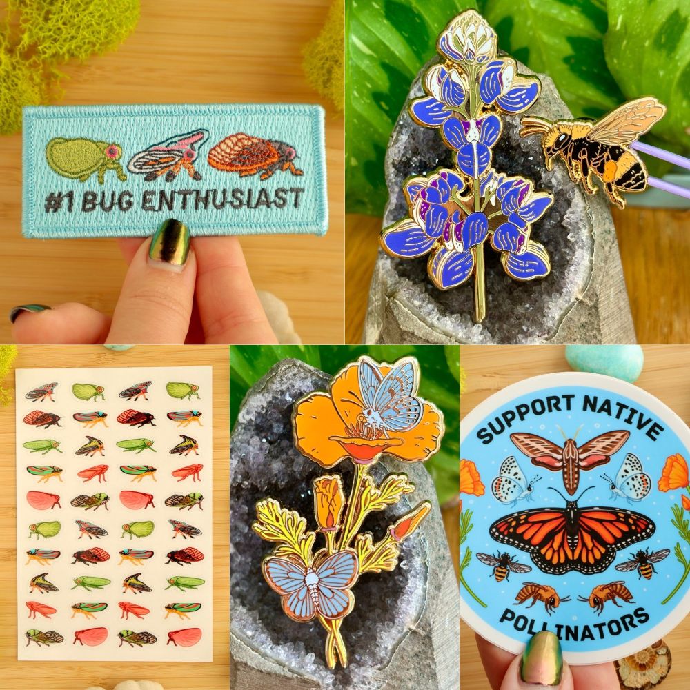 A photo collage showcasing some of my most popular and latest items available in my shop! All designed by me. Top row: #1 Bug Enthusiast iron-on patch, lupine & bumblebee enamel pin set. Bottom row: hoppers clear vinyl sticker sheet, blue butterflies and a California poppy enamel pin, Support Native Pollinators vinyl sticker.  