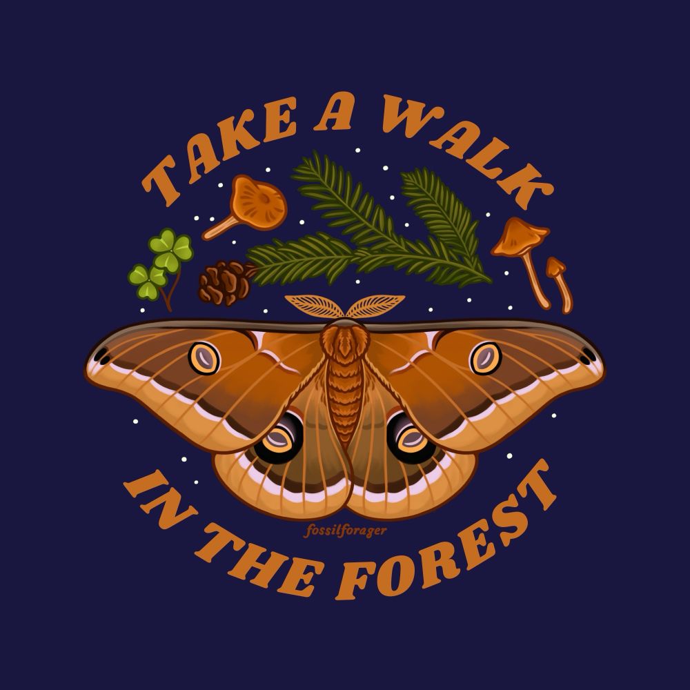 An illustration of a Polyphemus moth against a dark deep blue-purple background. Near the moth is a redwood branch with leaves and a cone, redwood sorrel, and redwood rooter fungi. Orange text is arching above and below and reads “Take a walk in the forest”. 