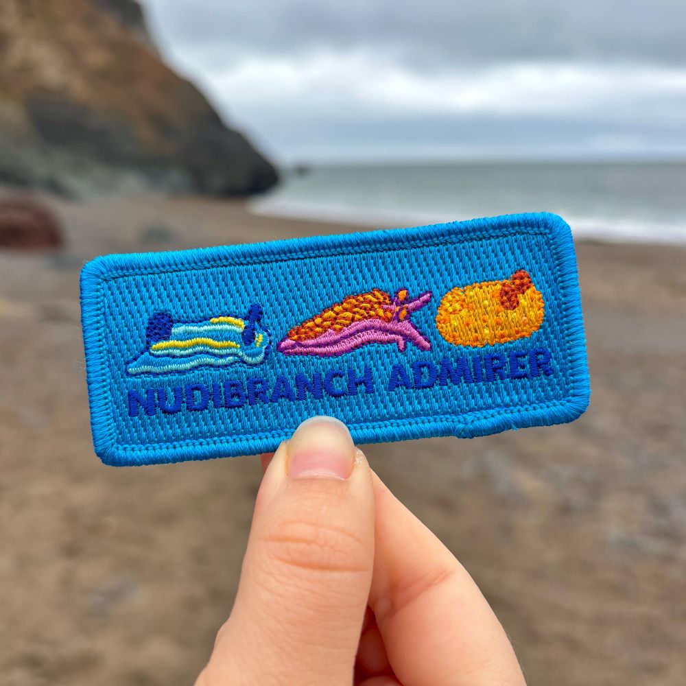 A photo of my hand holding an iron-on patch that is blue and rectangular. 3 colorful nudibranch/sea slugs are on the patch, with dark blue text below reading “Nudibranch Admirer”. The background is a beach shore. 