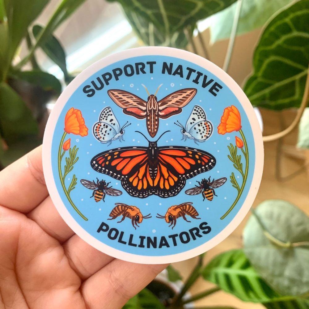 Support Native Pollinators Sticker