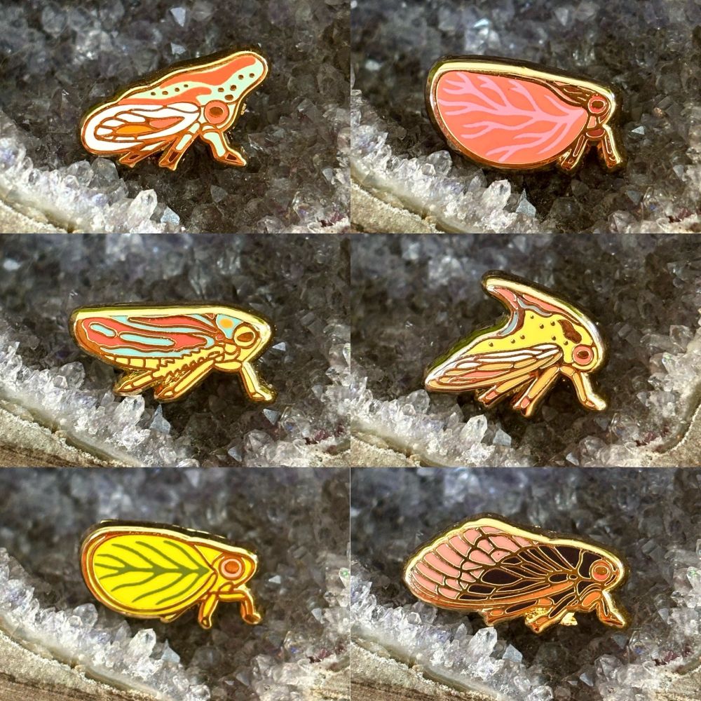 A photo showing 6 different tiny insect pins displayed in a geode. The image shows an oak treehopper, a pink planthopper, a candy striped leafhopper, a thorn treehopper, a green planthopper, and a periodical cicada! 