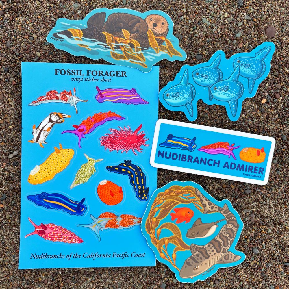 A photo of vibrant California coast themed vinyl stickers on top of a sandy background. The stickers feature sea slugs, a sea otter, sun fish, a leopard shark, a bat ray, kelp, and a garibaldi. 