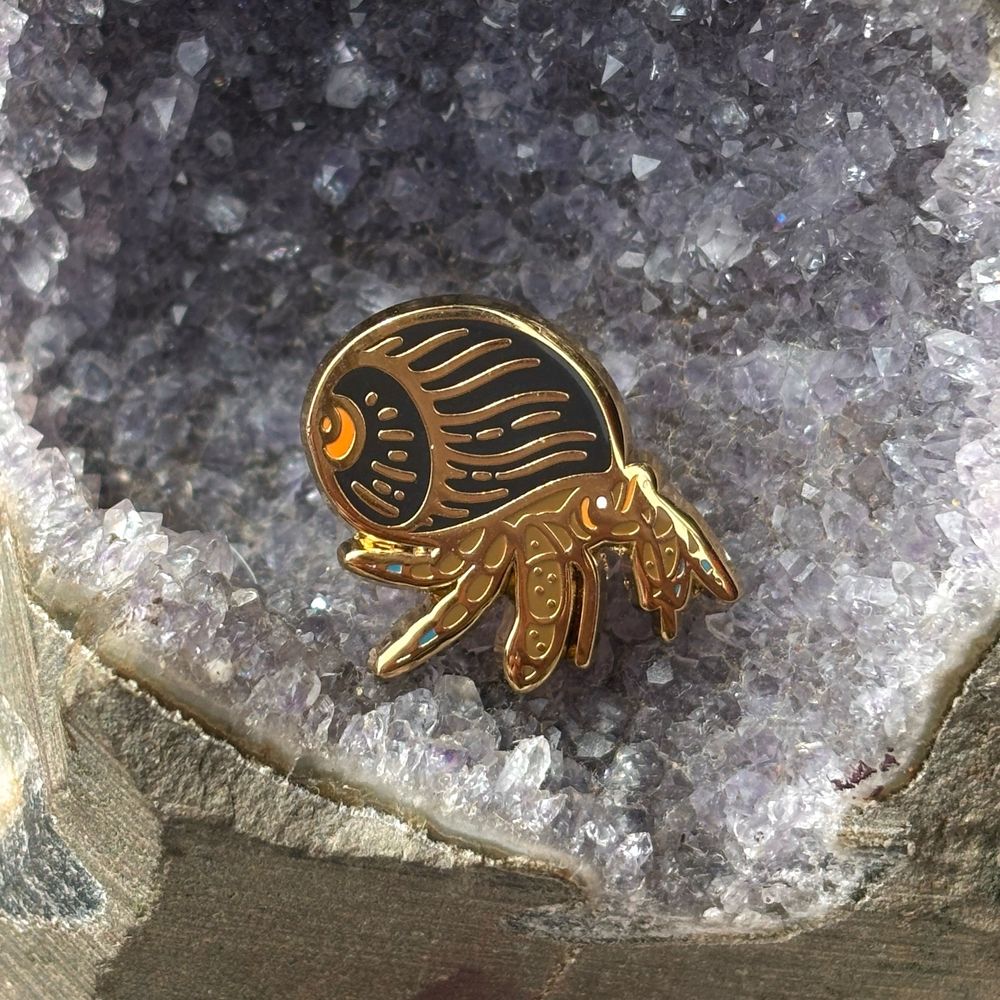 A tiny enamel pin of a blue-banded hermit crab, a brown hermit crab with a black and orange shell from a turban snail. It has blue-tipped legs.