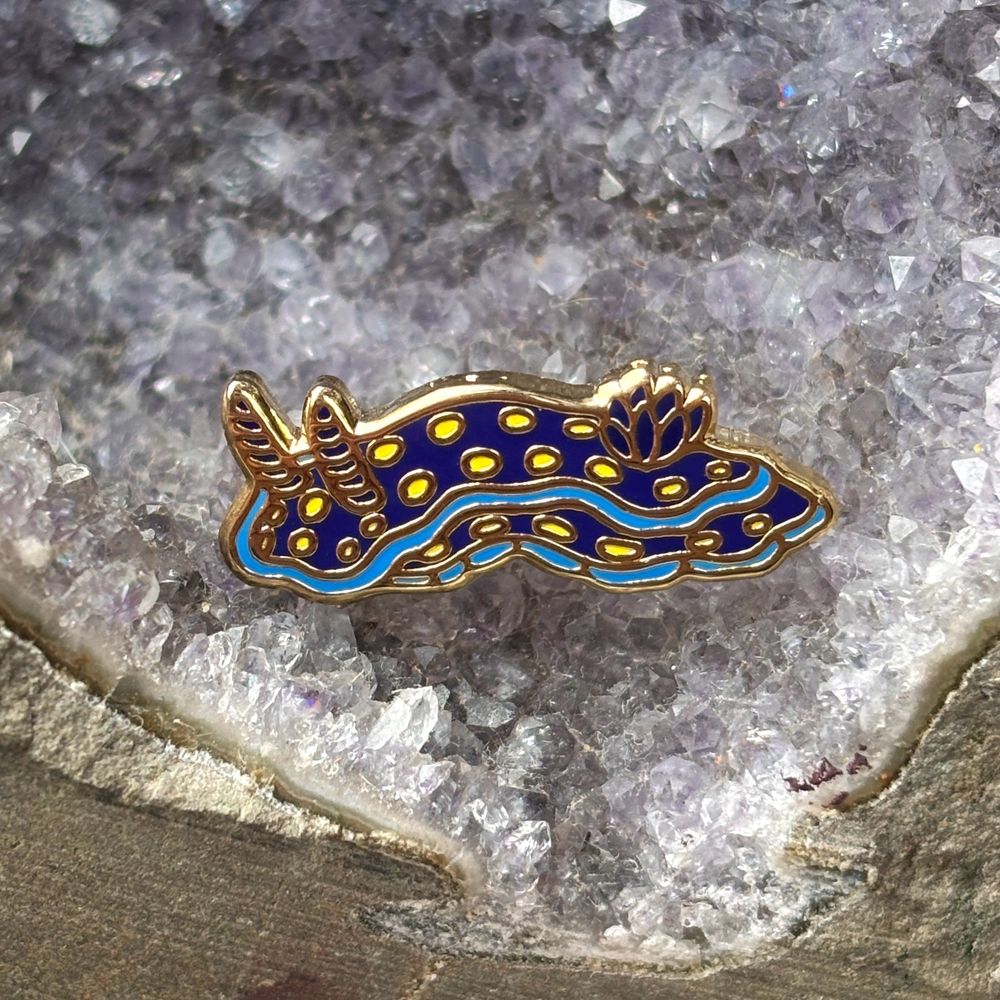 A tiny enamel pin of a California chromodorid nudibranch. It is dark blue with yellow spots, and lighter blue stripes markings along the edges of the body. 
