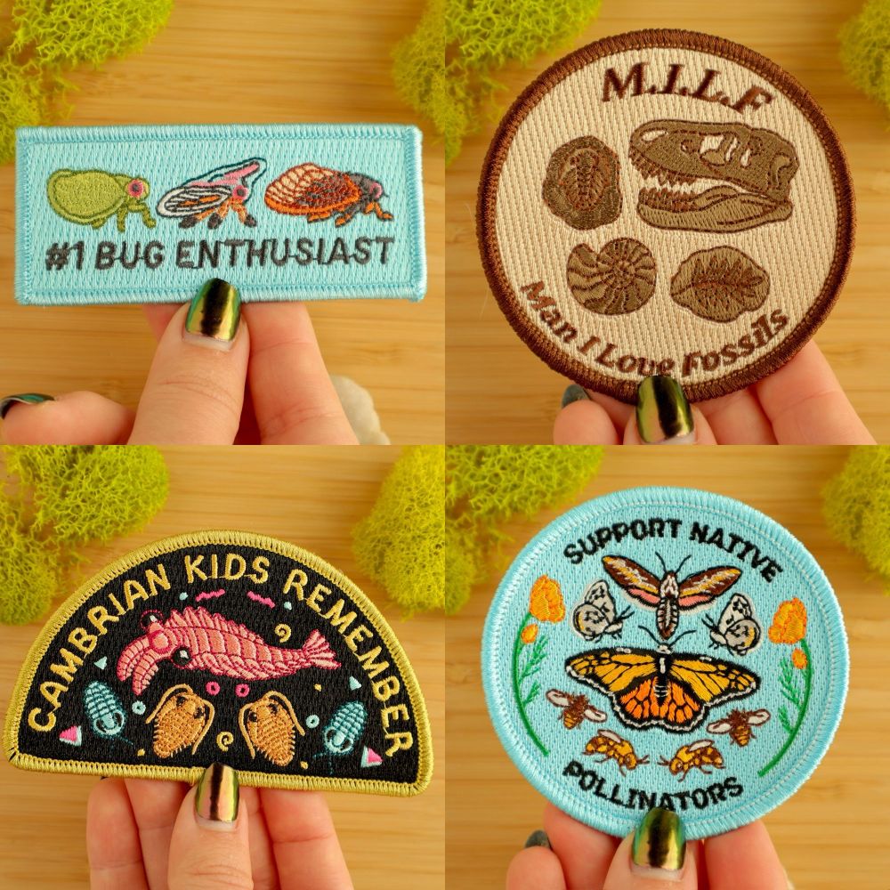A photo collage depicting 4 colorful natural history and nature-inspired iron on patches designed by me. Top row: #1 Bug Enthusist, MILF (Man I Love Fossils). Bottom row: Cambrian Kids Remember, Support Native Pollinators