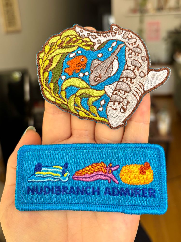 A photo of me holding two brand new iron-on patch designs. One design features a leopard shark, garibaldi, and bat ray swimming near giant kelp. The other design has 3 colorful sea slugs with bold uppercase text that reads “Nudibranch Admirer”. 