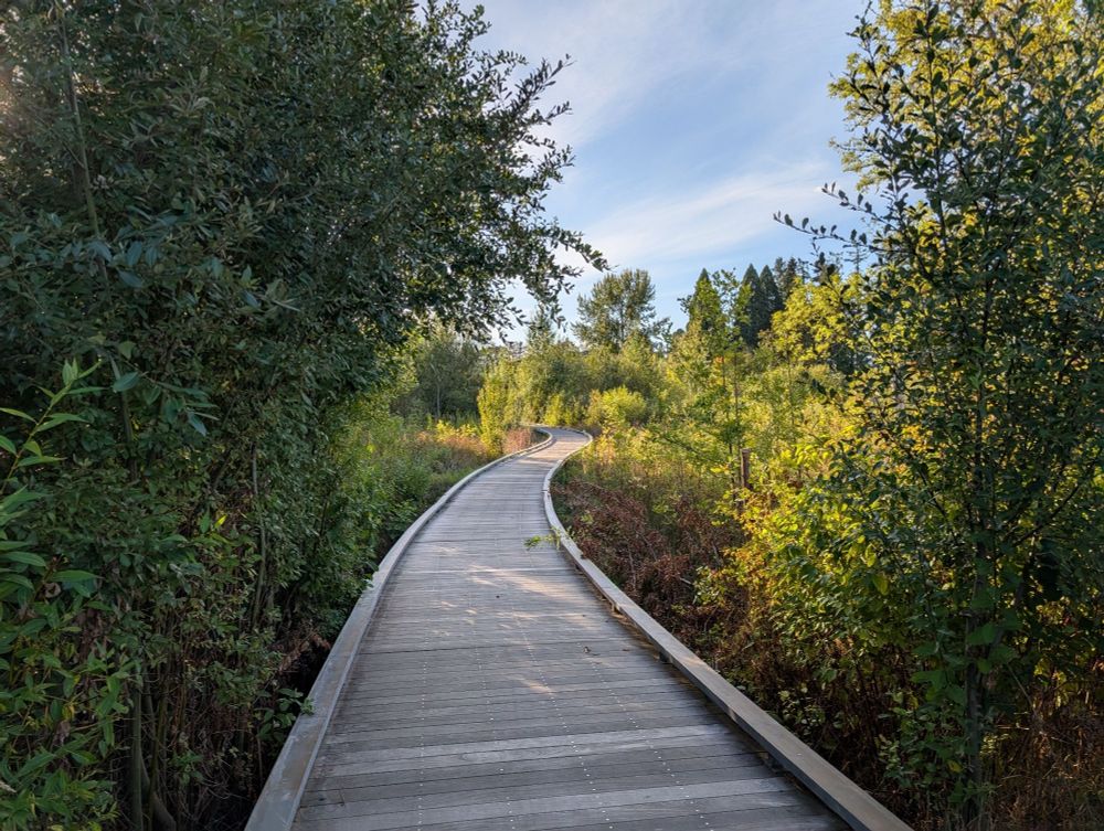 A bridge with a curve surrounded by bush and trees.