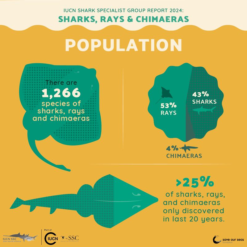 Infographic about the report 