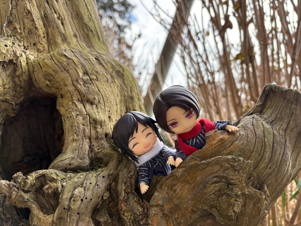 沖田組と木のうろ