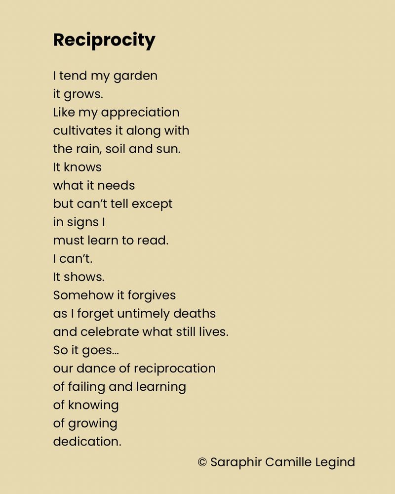 Reciprocity 

I tend my garden
it grows.
Like my appreciation
cultivates it along with
the rain, soil and sun.
It knows
what it needs
but can’t tell except
in signs I
must learn to read.
I can’t.
It shows.
Somehow it forgives
as I forget untimely deaths
and celebrate what still lives.
So it goes…
our dance of reciprocation
of failing and learning
of knowing
of growing
dedication.

© Saraphir Camille Legind