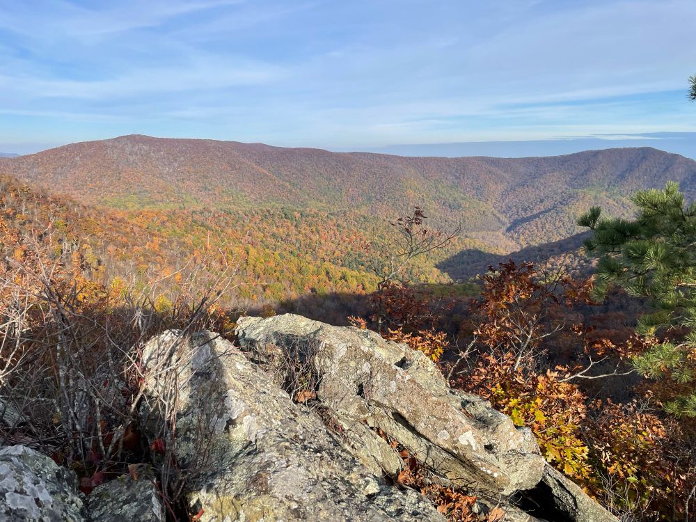 A late autumn mountain with two low-sloping peaks, a valley below with two intermediate hills, and a grey tumbled rock in the foreground. The foreground vegetation is bare sticks on the left with orange-brown leaves and a long-needled green conifer on the right. 