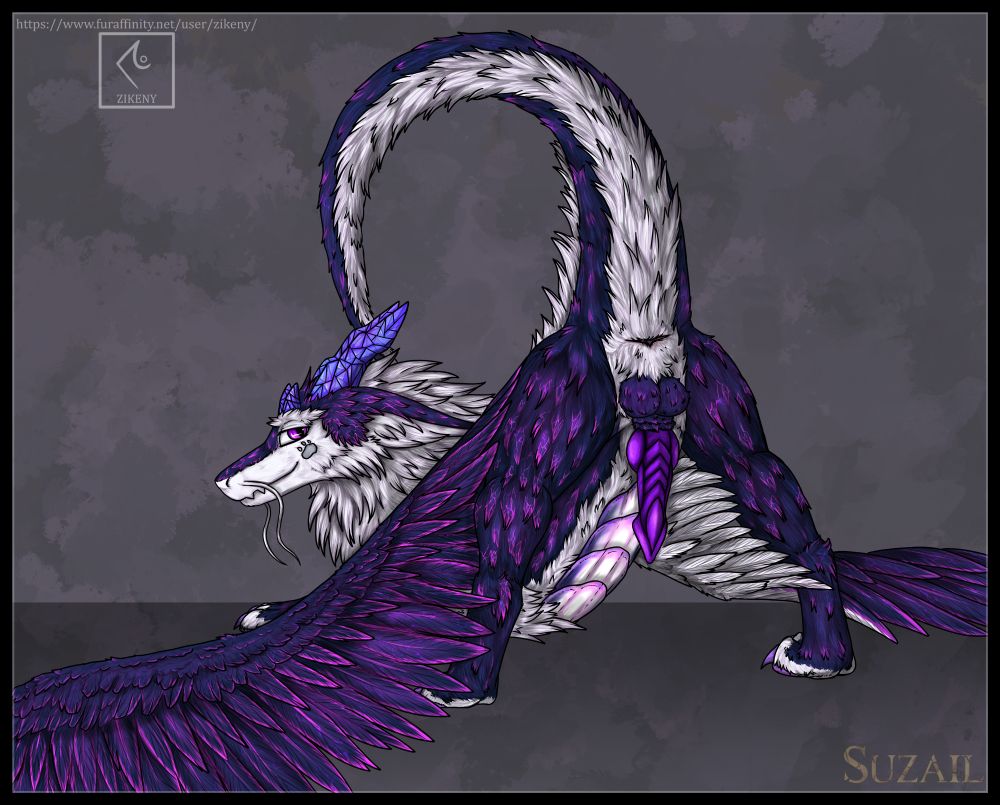 you like what you see     colab by Zikeny and Suzail 