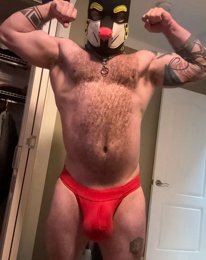 Nothing to see here folks, move on by.